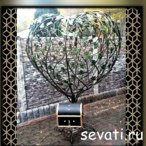 Дерево любви севати